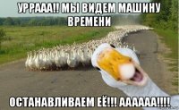 уррааа!! мы видем машину времени останавливаем её!!! аааааа!!!!