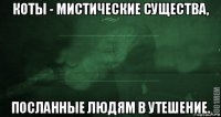 коты - мистические существа, посланные людям в утешение.