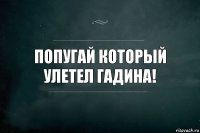 Попугай который улетел гадина!