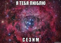 я тебя люблю с е з и м