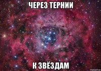 через тернии к звёздам