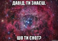 давід, ти знаєш, шо ти єнот?