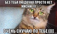 без тебя людочка просто нет жизни ((( очень скучаю по тебе ((((