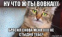 ну что ж ты вовка((( бросил снова меня ((((( не стыдно тебе?