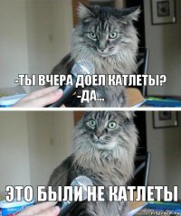 -Ты вчера доел катлеты?
-Да... Это были не катлеты