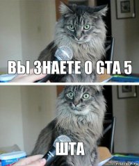 Вы знаете о GTA 5 ШТА