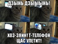 дзынь дзыыынь! хоз-зяин! т-телефон щас улетит!