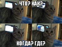 что? как? когда? где?