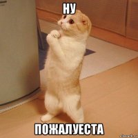 ну пожалуеста