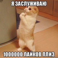 я заслуживаю 1000000 лайков плиз