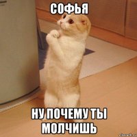 софья ну почему ты молчишь