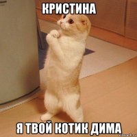 кристина я твой котик дима