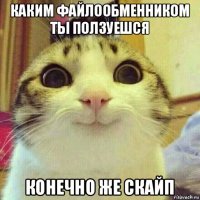 каким файлообменником ты ползуешся конечно же скайп