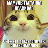 мамуль ты такая красивая а можно я пойду поглуляю с наркоманами?)