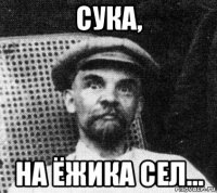 сука, на ёжика сел...