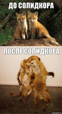 ДО Солидкора после солидкора