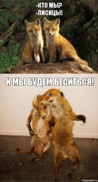 -кто мы?
-лисицы! и мы будем беситься!