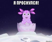 я проснулся! 