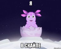 я в скайпе