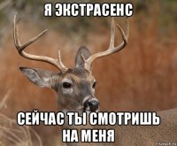 я экстрасенс сейчас ты смотришь на меня