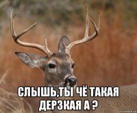  слышь,ты чё такая дерзкая а ?