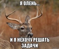 я олень... и я нехочу решать задачи