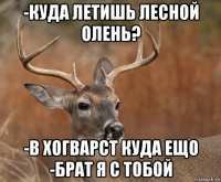 -куда летишь лесной олень? -в хогварст куда ещо -брат я с тобой