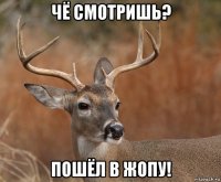 чё смотришь? пошёл в жопу!