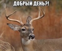 добрый день?! 