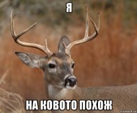 я на ковото похож