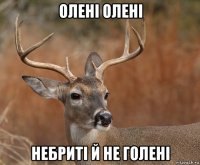 олені олені небриті й не голені