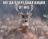 когда очередная акция от wg 