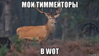 мои тиммейторы в wot