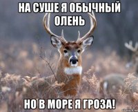 на суше я обычный олень но в море я гроза!