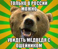 только в россии можно увидеть медведя с ошейником