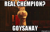 real chempion? goysanay