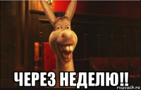  через неделю!!