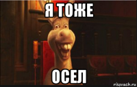 я тоже осел