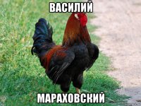 василий мараховский