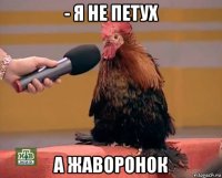 - я не петух а жаворонок