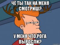 чё ты так на меня смотриш? у меня что,рога выросли?