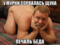 у мурки сорвалась щука печаль беда