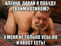 аленка, давай я побуду твоим котиком? у меня не только усы, но и хвост есть!