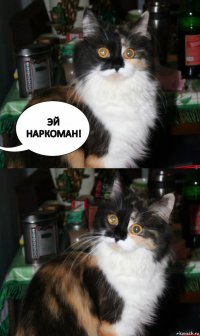 ЭЙ НАРКОМАН!