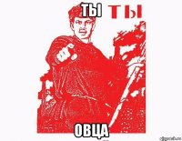 ты овца