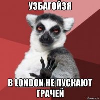 узбагойзя в london не пускают грачей