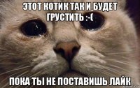 этот котик так и будет грустить :-( пока ты не поставишь лайк