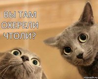 вы там охерели чтоли? 