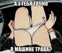 а у тебя точно в машине трава?