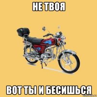 не твоя вот ты и бесишься